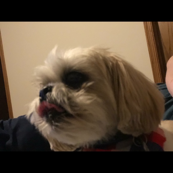 Meet the Posher Other - Meet your Posher, Emma